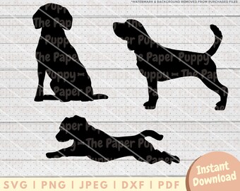 Beagle SVG-bestandsbundel - PNG, PDF, Dxf, gesneden bestand voor cutters en meer - Beagle Silhouette Instant Digitale Download - Clipart Vector