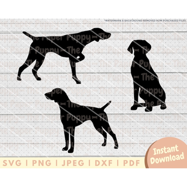 German Shorthair Pointer SVG - PNG, Pdf, Dxf, Cut File for Cutters and More - GSP Silhouette Instant Digital Download - Clipart Vector