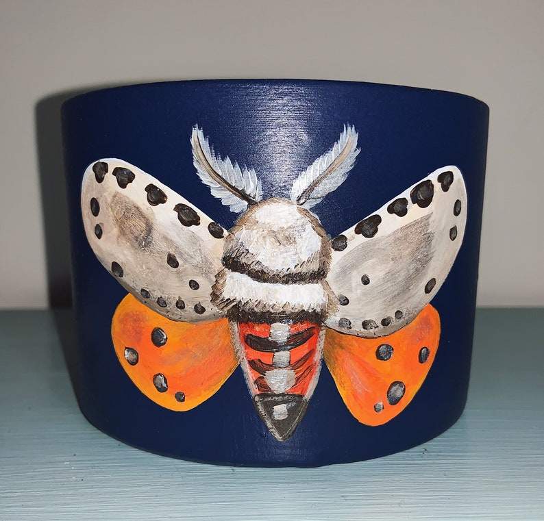 Pot with Moth illustration handmade and painted