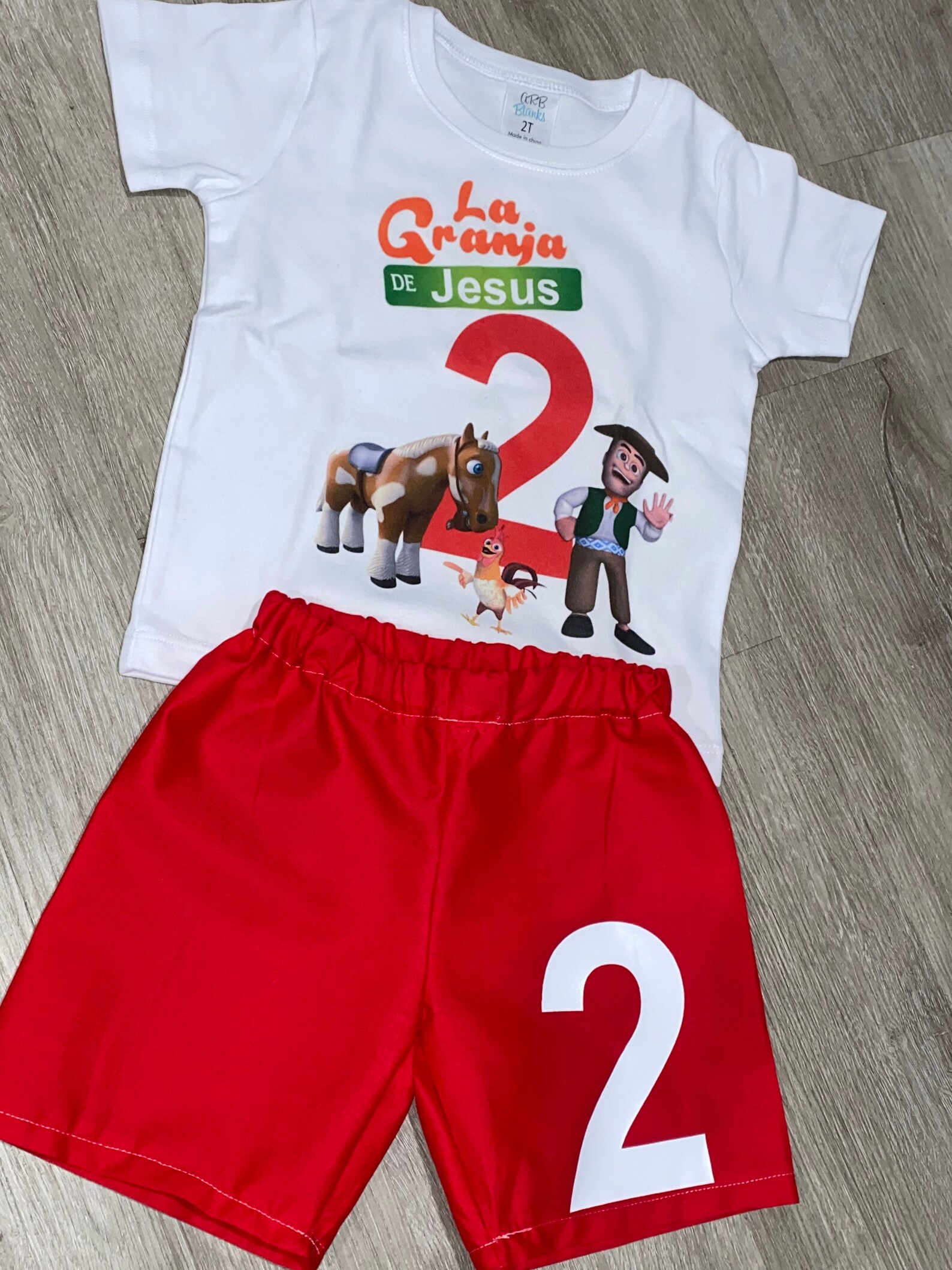 1st Birthday Boy Shirt Baby Boy First Birthday Granja De Zenon Theme Birthday Baby Outfit