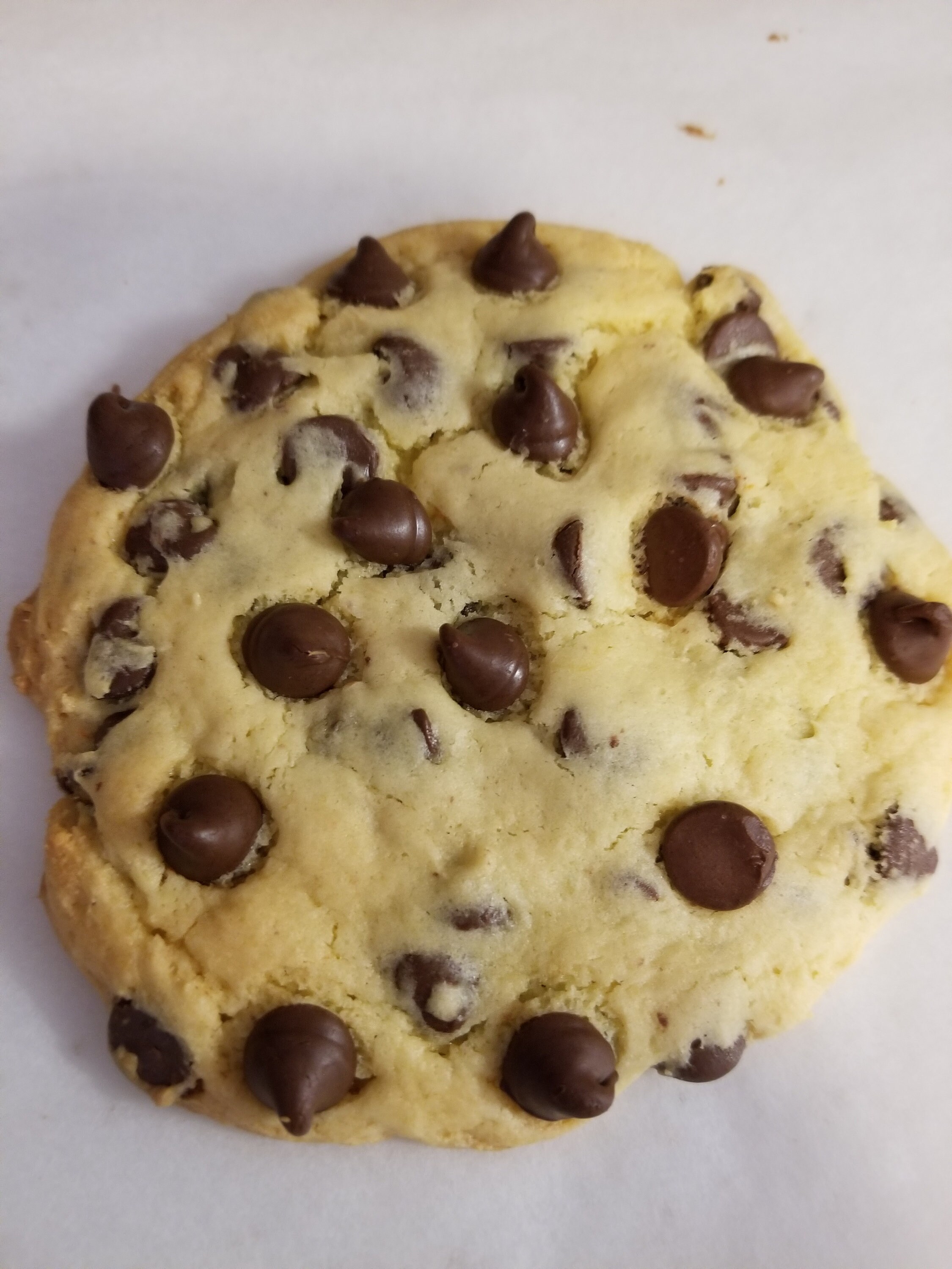 Chocolate Chip Jumbo Gourmet Cookie Etsy