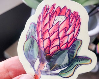 Protea flower sticker   | Semiclear Sticker | Planner sticker | Watercolour Illustration