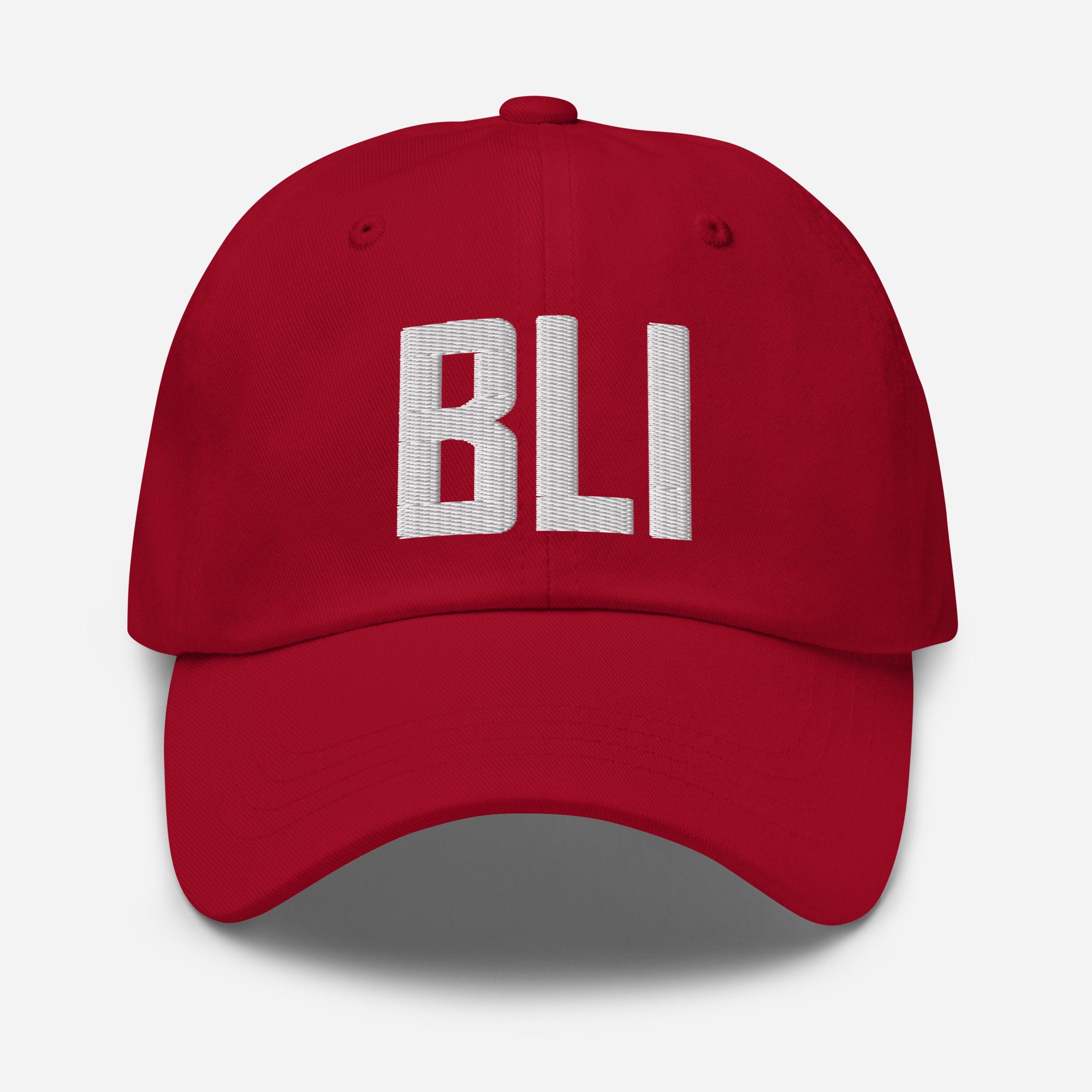 【関税&送料込】Ami Hat ALB Airport Code Hat Embroidered Hat Dad Hat Albany New York