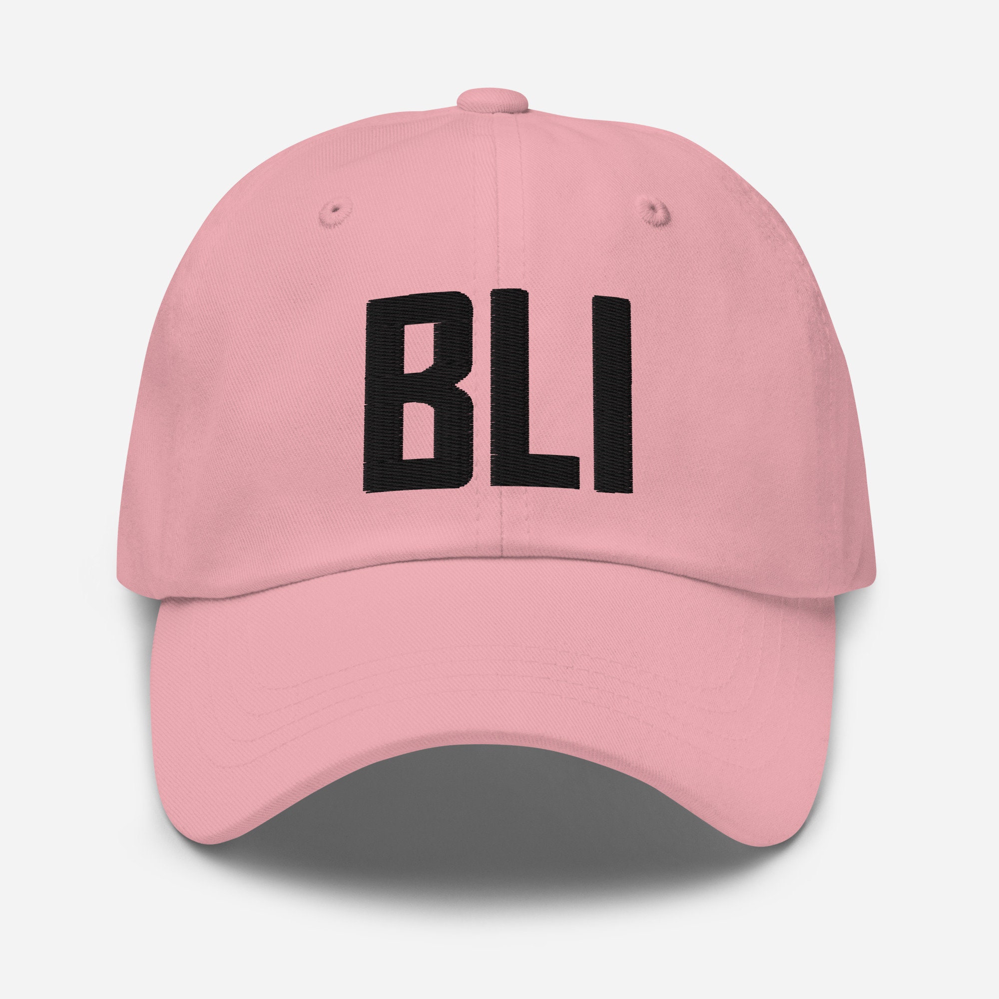 【関税&送料込】Ami Hat ALB Airport Code Hat Embroidered Hat Dad Hat Albany New York