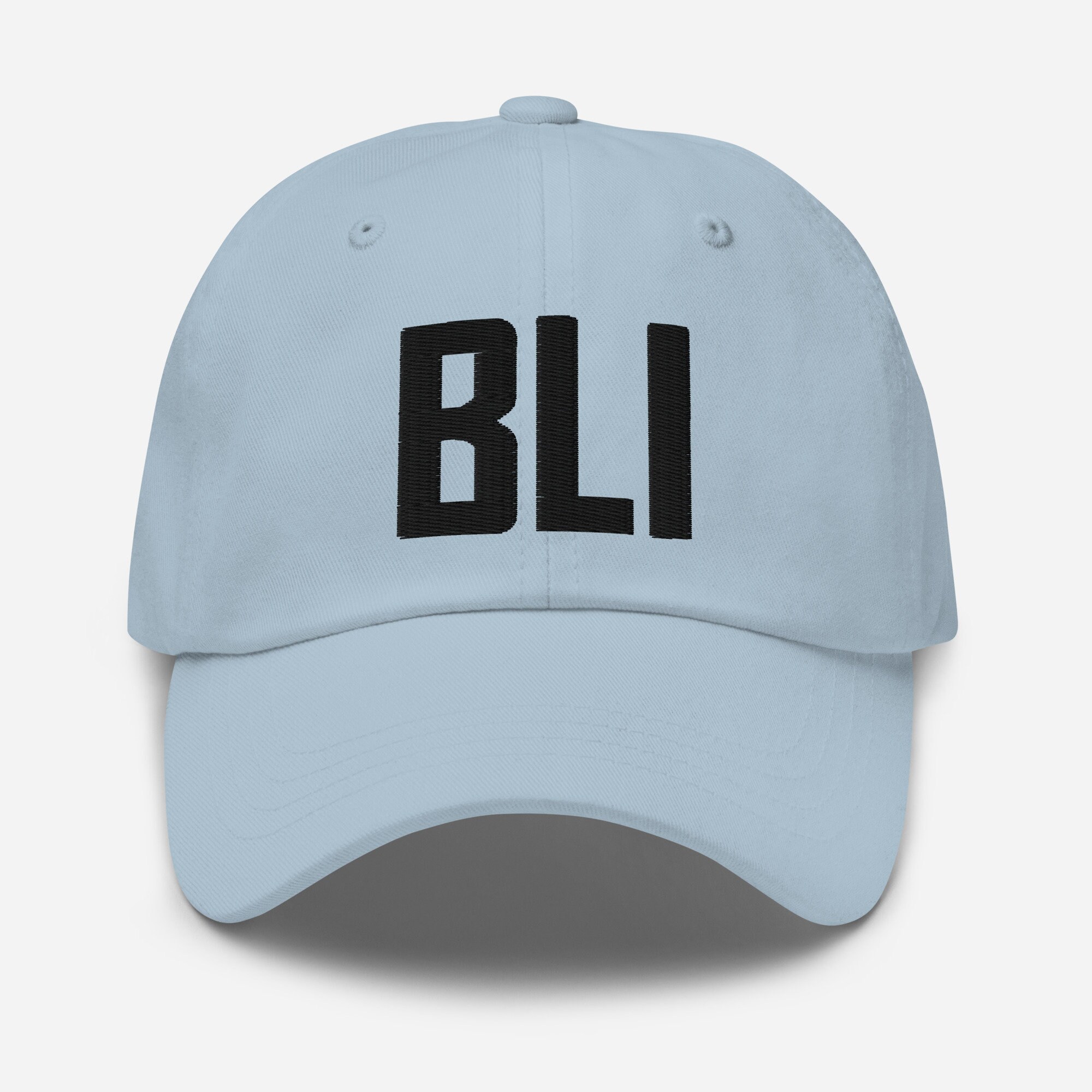 【関税&送料込】Ami Hat ALB Airport Code Hat Embroidered Hat Dad Hat Albany New York
