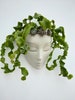 planter, pots for plants, wall planter, wall art, face pot, face planter, head planter, planters, hanging planter, headplanters, concrete