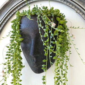 Plant pot Head planter wall pot for plants wall planters hanging planter face pot for succulents head pot for plants modern planters wall image 1