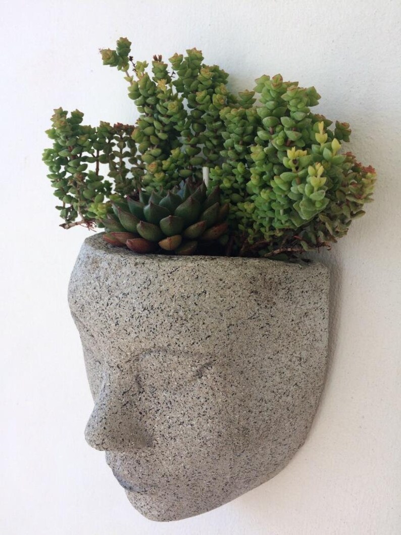 Face Planter Head Planter Planter Wall Art Headplanters Wall Planter Wall Pot For Plants Concrete Planter