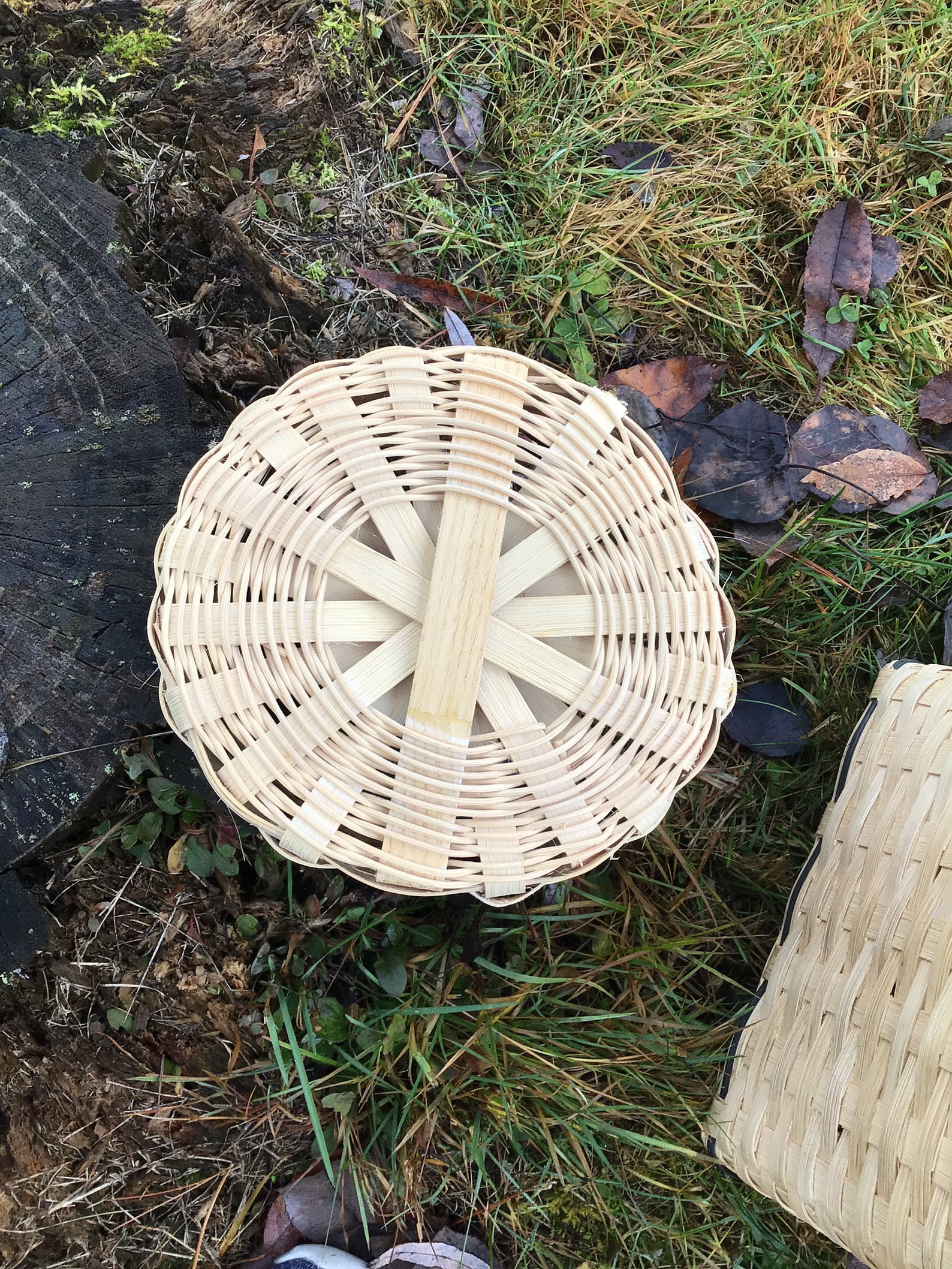 Handcrafted Round Reed Basket Accented With Colored Weavers and