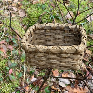May include: A small, woven basket made of natural materials, with a light brown color. The basket is hanging from a branch in a forest setting.