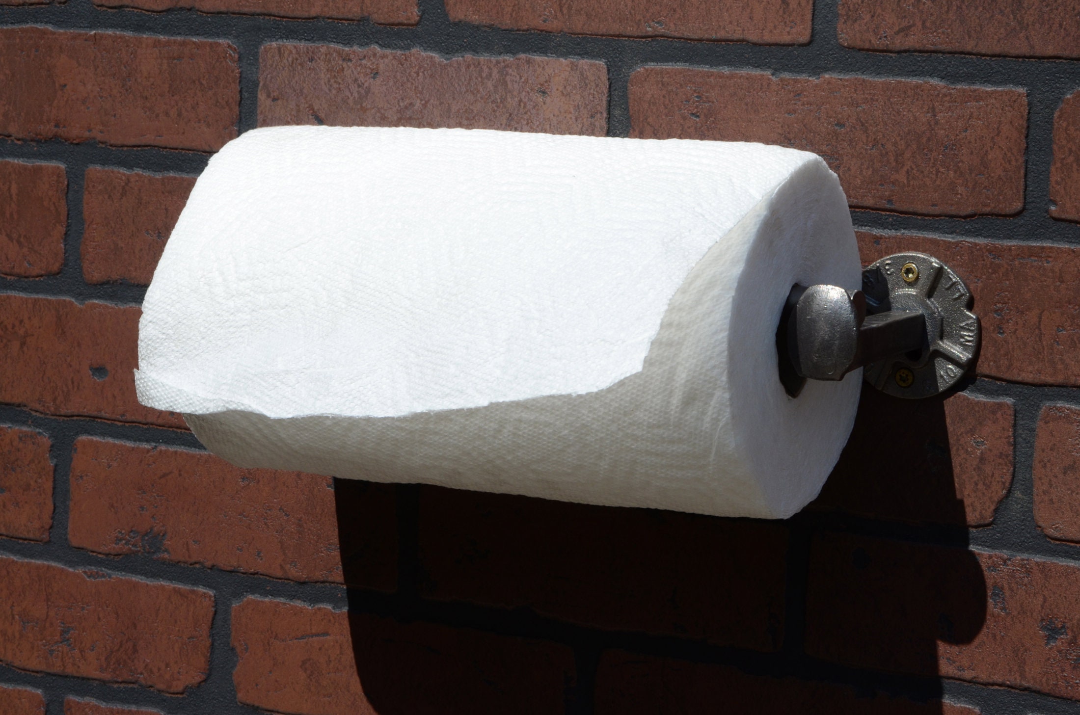 Crescent shape wall mount paper towel holder