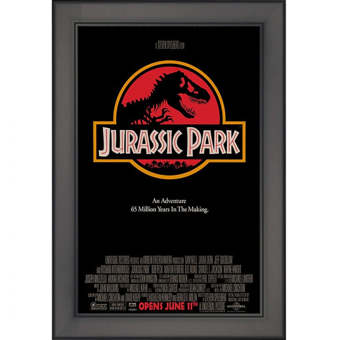 Framed Jurassic Park Official Movie Poster Photo Print Size 11 Etsy