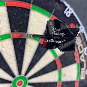 Könnte beinhalten: Ein schwarzer Dart mit schwarzem Flight ist auf einer Dartscheibe positioniert. Die Dartscheibe hat ein schwarz-weißes Muster mit roten und grünen Ringen. Auf dem Dartpfeil steht "Silver Printings Manuel".