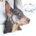 see more listings in the Animaux section