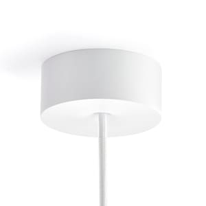 Ceiling rose lamp on sale shade