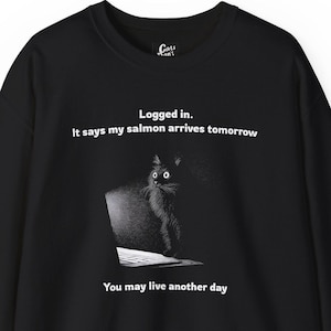 Moletom engraçado com meme de gato hacker, camiseta de gato preto para laptop, presente para geek de TI, mãe ou pai de gato.