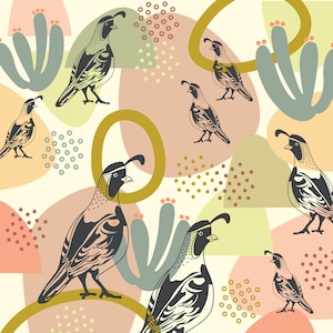 Gambel&#39;s Quail