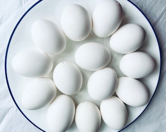 Real Jumbo Chicken Egg Shells, Clean and Empty