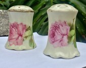 O EG Antique Handpainted Rose Salt and Pepper shakers