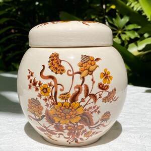 Vintage Staffordshire Sadler Ginger Jar