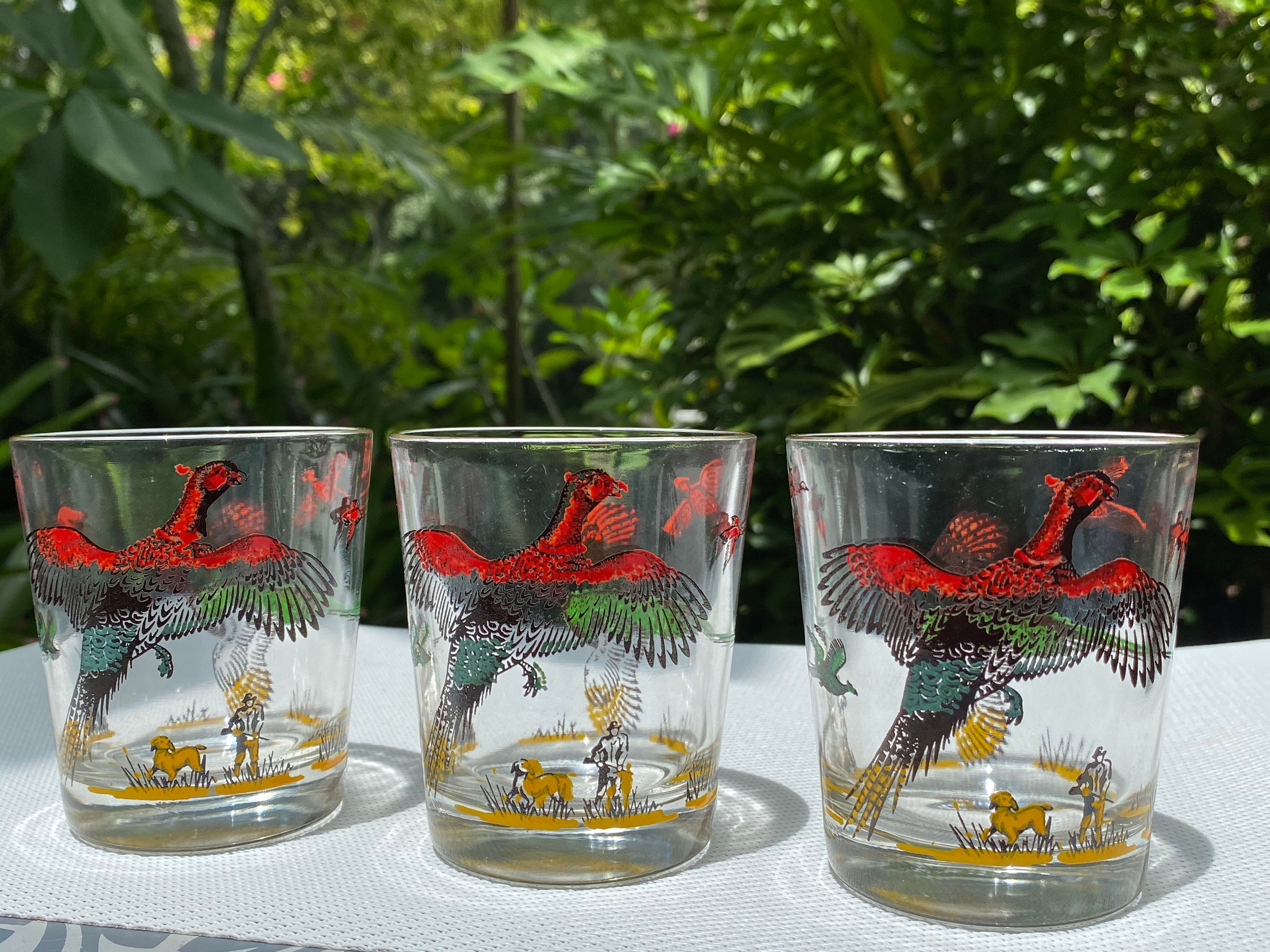 Hazel Atlas Pheasants Trio of Old Fashioned Lowball Glasses Etsy
