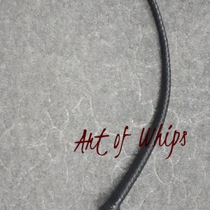 Op de afbeelding: Een zwarte leren zweep met een zilveren handvat. De zweep is opgerold en het handvat is zichtbaar. De tekst "Art of Whips" is zichtbaar op de achtergrond.