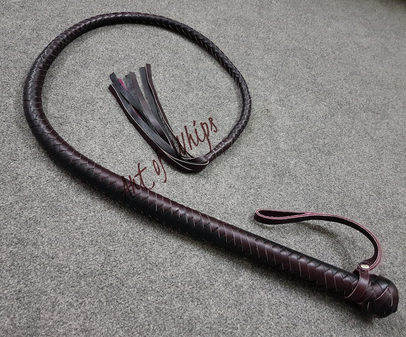 May include: A brown leather bullwhip with a braided handle and a long, thin braided tassel. The whip is coiled in a circle and the tassel is hanging down.