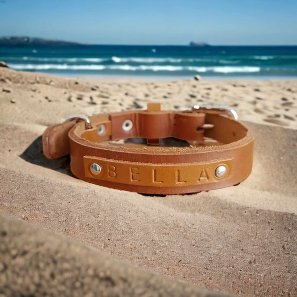 Personalized dog collars