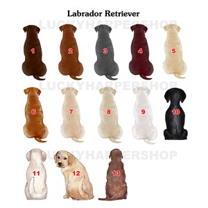 Puede incluir: Ilustraciones de Labrador Retrievers en varios colores, incluyendo marr&oacute;n, negro y amarillo. Cada perro est&aacute; numerado, con el texto "Labrador Retriever" en la parte superior. Las ilustraciones est&aacute;n sobre un fondo blanco.