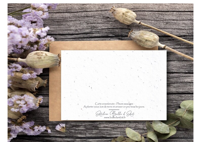 original postcard ecological map seeded card CART A PLANTER Born under a good star thick paper