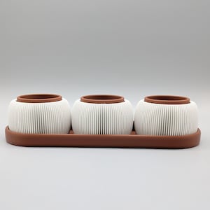 以下が含まれることがあります： 茶色の縁が付いた、白くリブ編みのセラミックポットが3つ、お揃いの茶色のトレイに載っています。 ポットは丸みを帯びた形で、一列に並んでいます。 背景は無地のニュートラルグレーです。
