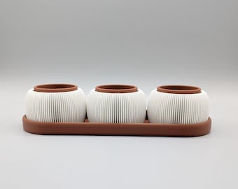 Triple Succulent Planter with Tray – Compact Ribbed Plant Set, Modern Indoor Decor