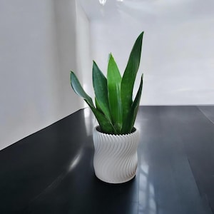 Può includere: Una pianta di serpente verde in un vaso bianco strutturato a spirale. La pianta ha foglie lunghe e dritte. Il vaso è cilindrico e poggia su una superficie scura. L'estetica generale è moderna e minimalista.