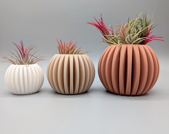 Ribbed Air Plant Holder Set of 3 – Modern 3D Printed Desk & Shelf Decor