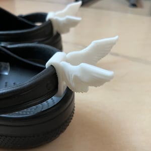 Angel Wings for Croc