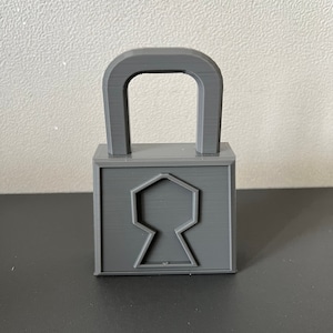 Fake Door Lock - Etsy