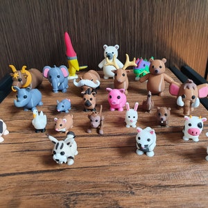 Rare Animals Pets