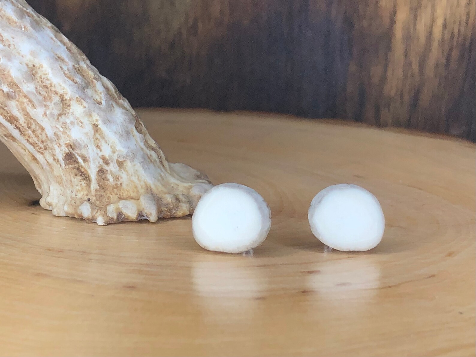 Deer Antler Stud Earrings/ Heart or Circle Shaped, Real Antler Jewelry