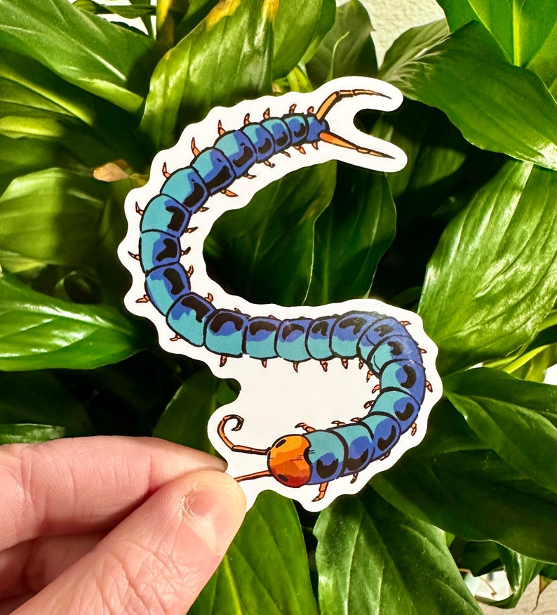 Cute Centipede Sticker Etsy
