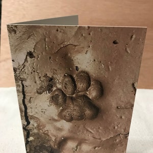Inspirierende Karte, Katze Fußabdruck
