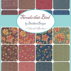 Moda Scrap Bag - Threads that Bind by Blackbird Designs