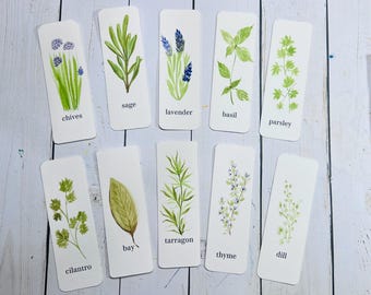 Hand Painted Watercolor Herb Bookmarks | Botanical Kitchen Garden Art (Set of 10)