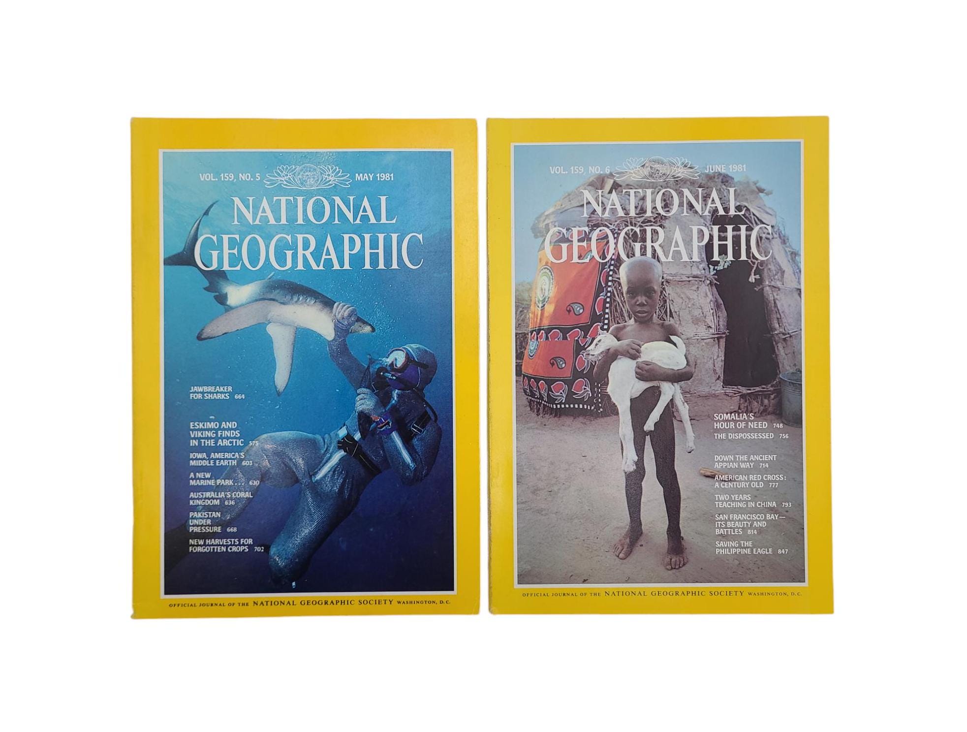 Choice of Original 1981 National Geographic Magazines - History