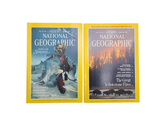 Choice of Original 1989 National Geographic Magazines - History