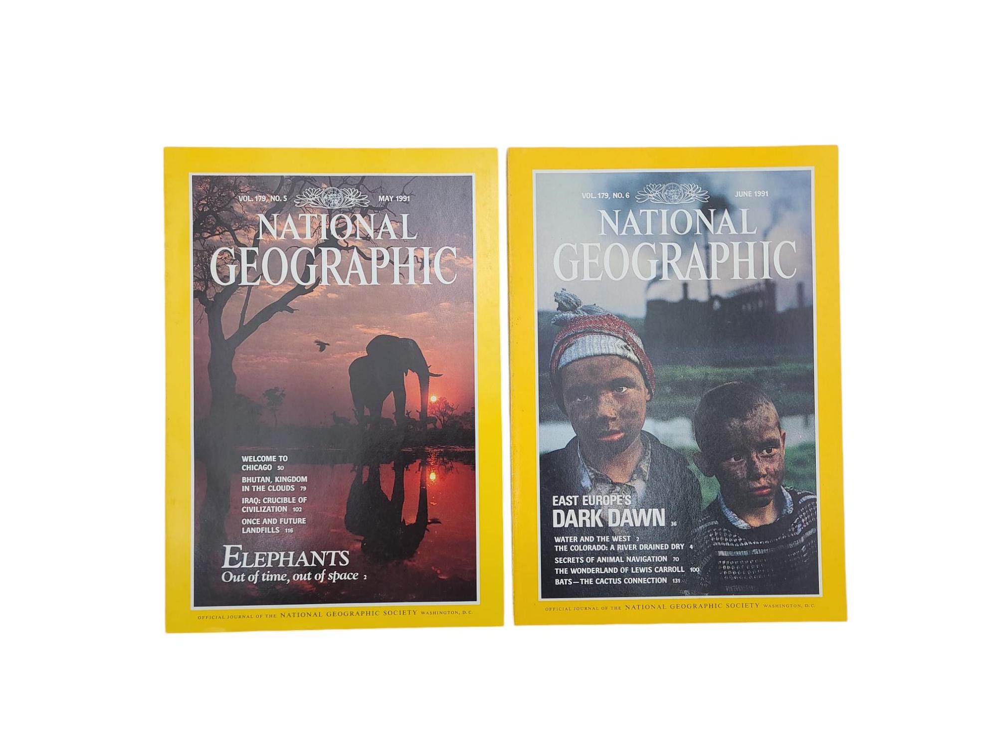 Choice of Original 1991 National Geographic Magazines - History