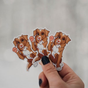 Pack of 3 - Cartoon Nova Scotia Duck Tolling Retriever Sticker
