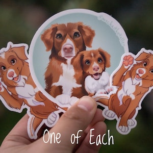 Mix & Match - Cartoon Nova Scotia Duck Tolling Retriever Stickers