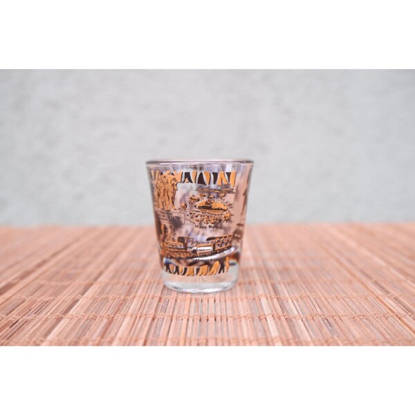Souvenir Shot Glass Etsy