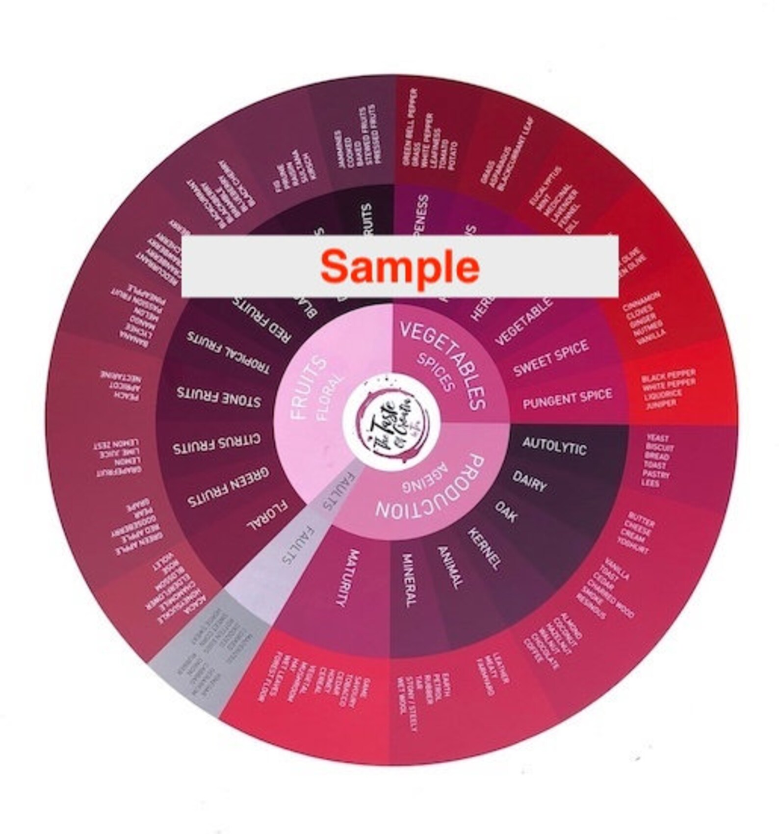 Digital Wine Aroma Wheel | Etsy