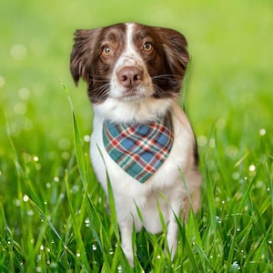 Tartan Dog Bandana | Scottish Wool Tartan |Handmad in Scotland | Size Small | Neckerchief